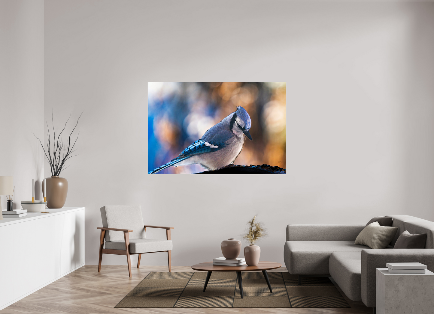 66 x 44″, Photoprint under Acrylic Glass Blue Jay