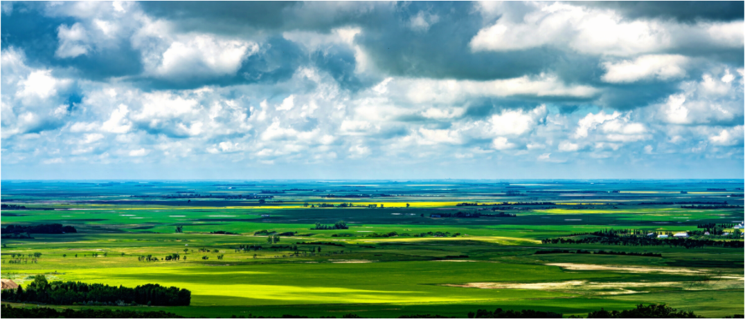 Main image Prairie Eden Metal Acrylic Glass
