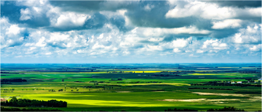 Main image Prairie Eden Metal Acrylic Glass