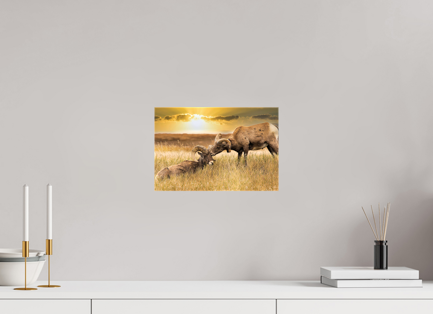 12 x 8″, Stretched Canvas Badlands Sheep Kiss