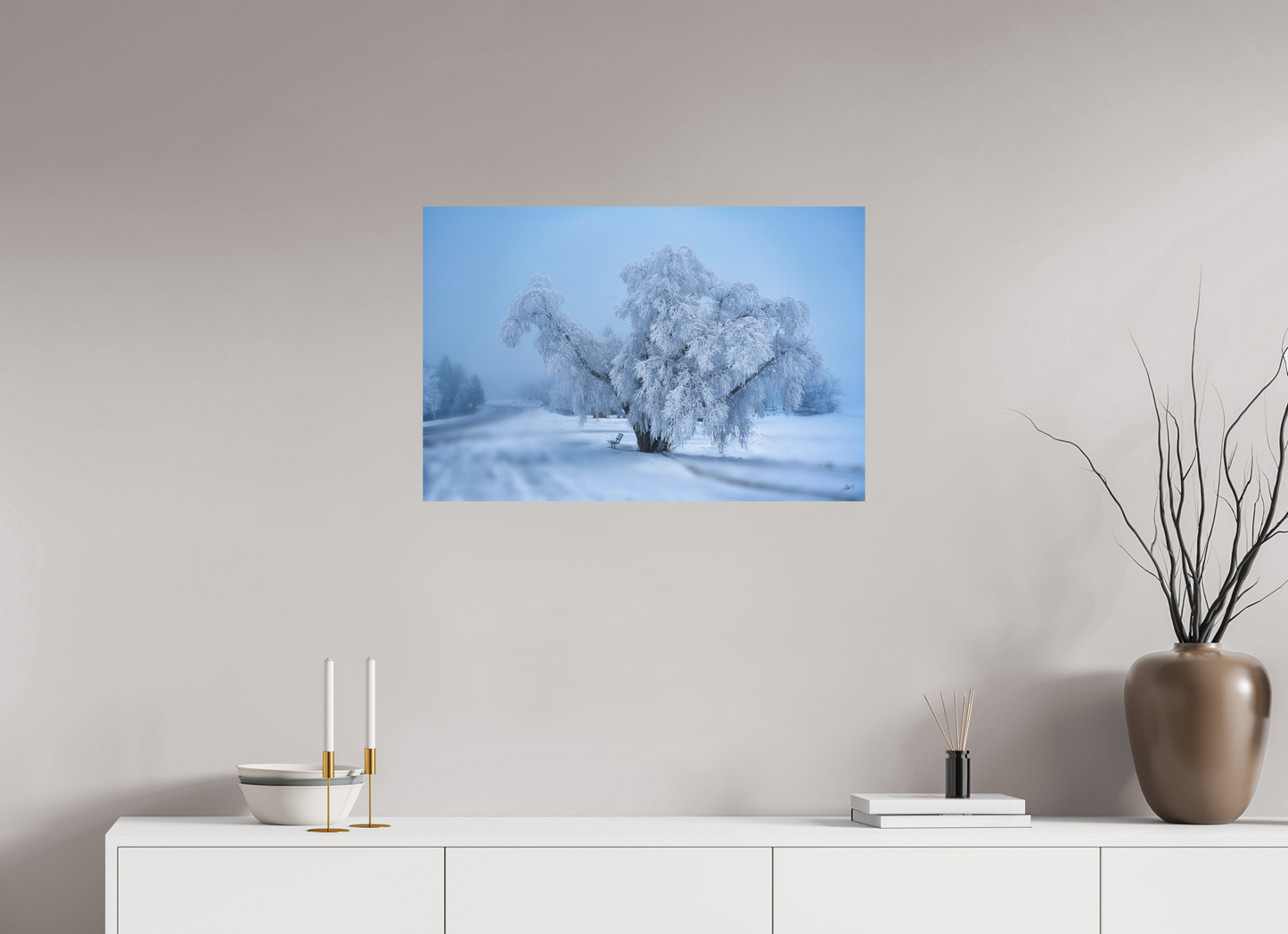 30 x 20″, Photo Print On Fuji Crystal DP II An Oak in Frost