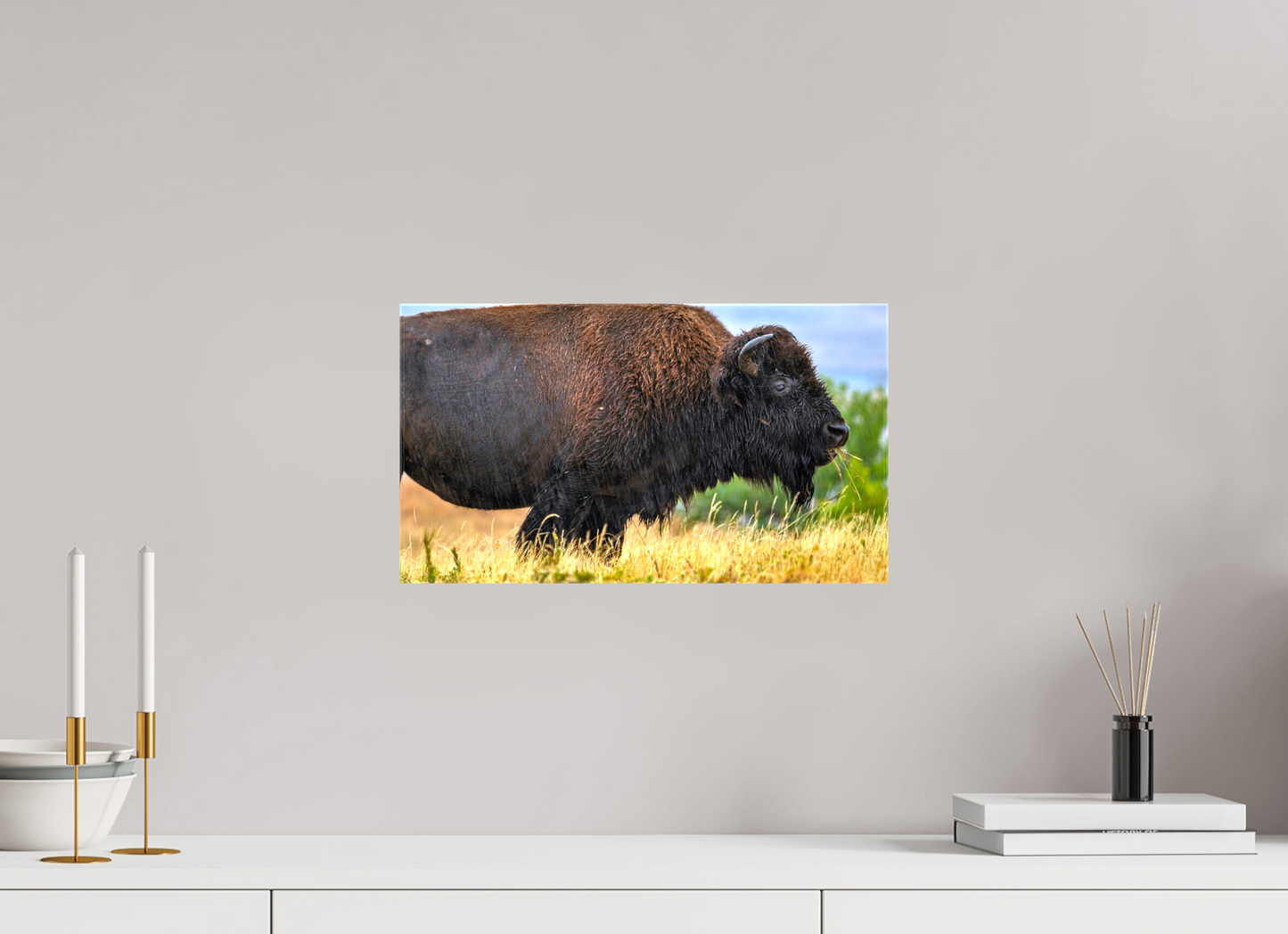 16 x 9″, Stretched Canvas Medora Bison in Rain Metal Acrylic Glass