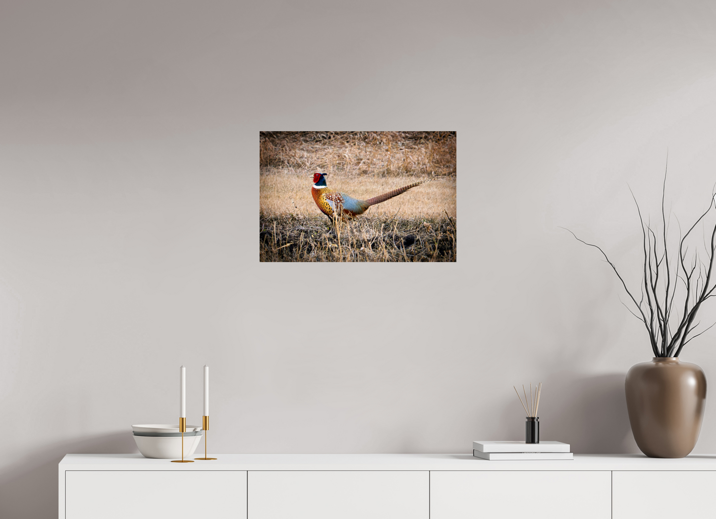 24 x 16″, Photo Print On Fuji Crystal DP II The Pheasant