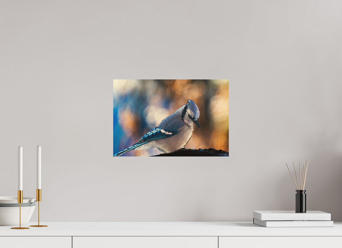 15 x 10″, Wood Print Blue Jay