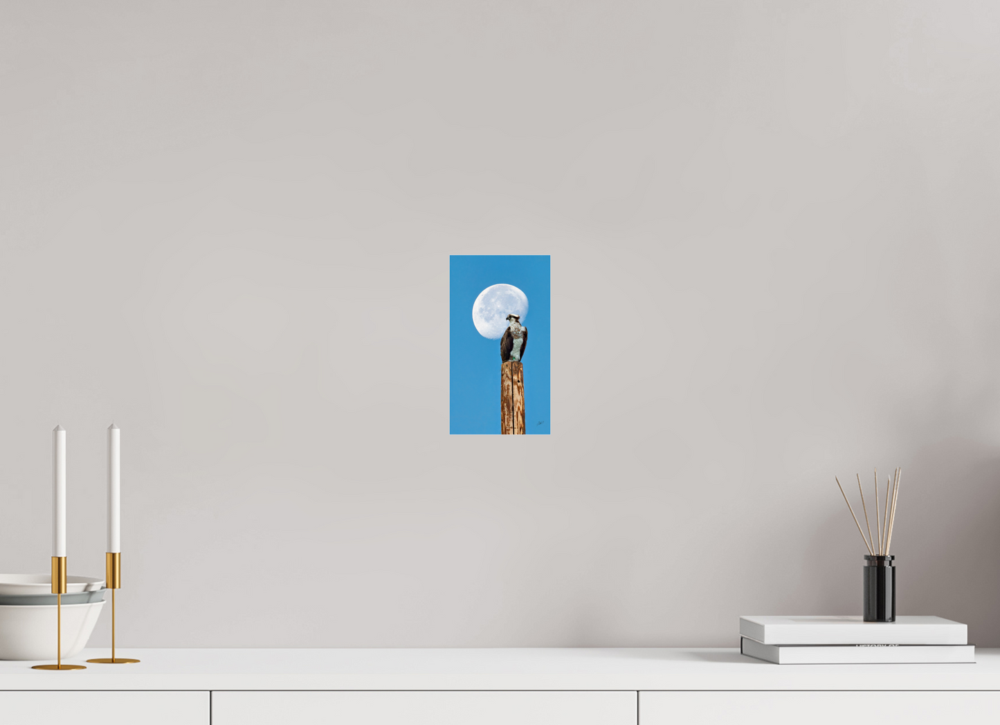 4.5 x 8″, Photo Print Under Acrylic Glass Moon Osprey Metal Acrylic Glass