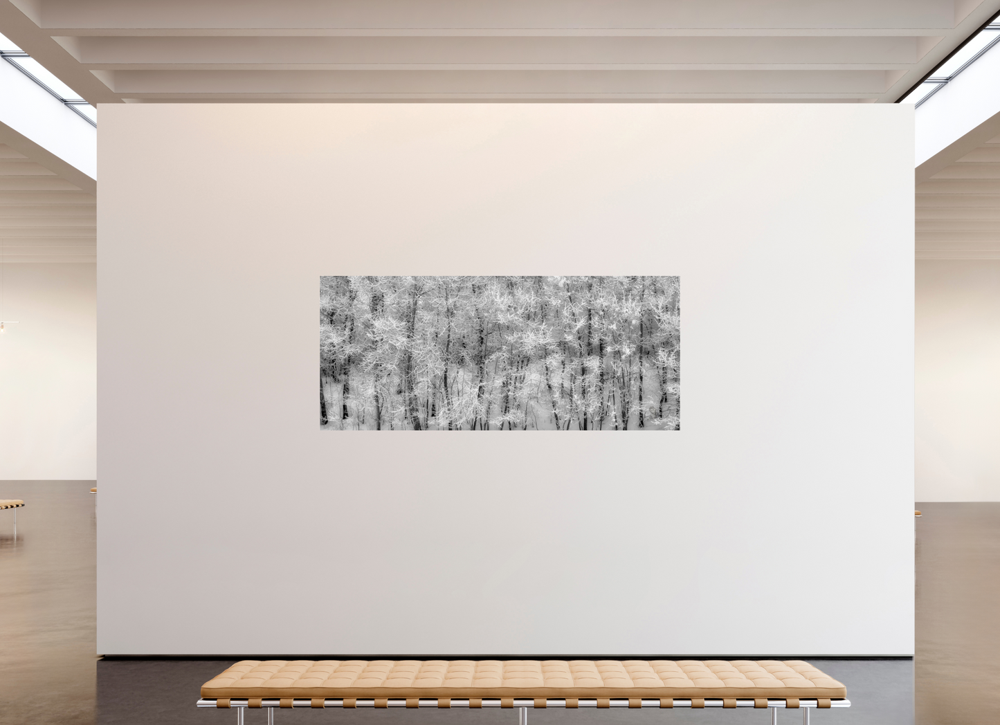 91 x 39″, Photo Print Under Acrylic Glass Shades of Winter Metal Acrylic Glass