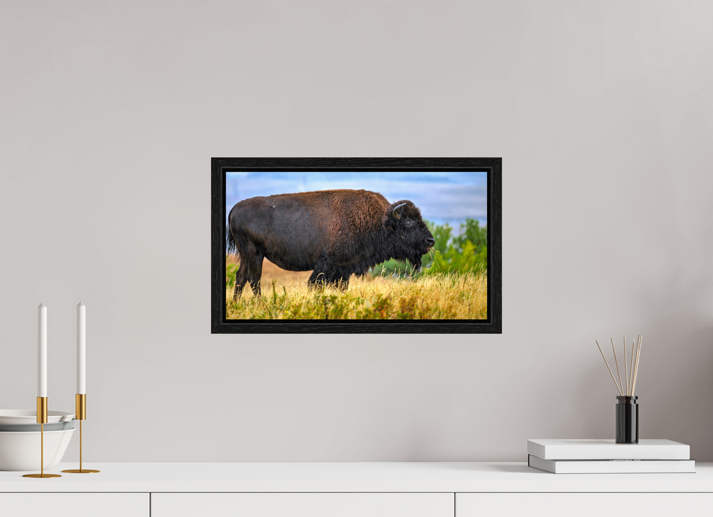 16 x 9″, Floater Frame Medora Bison in Rain Metal Acrylic Glass