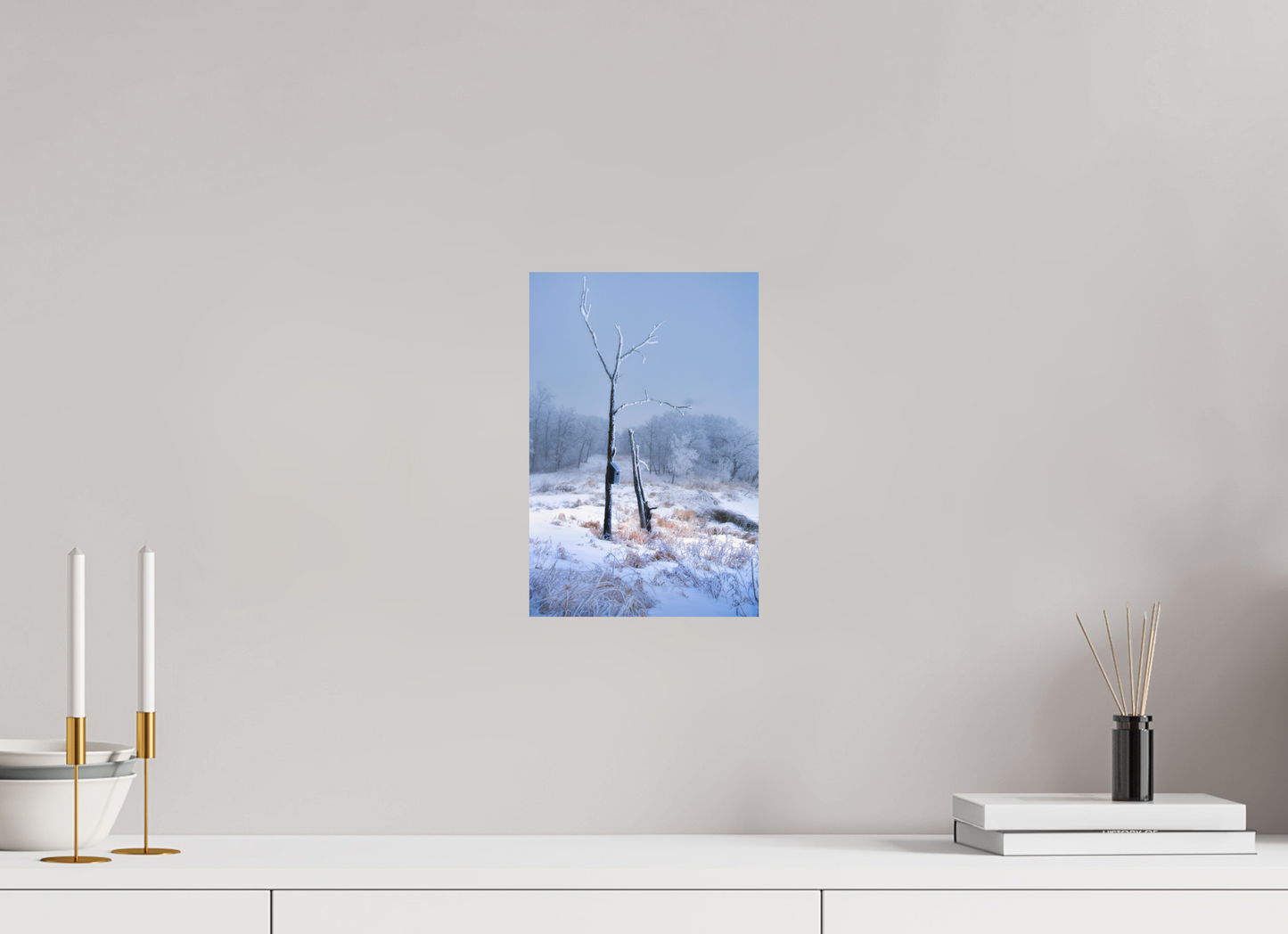8 x 12″, Photo Print On Fuji Crystal DP II Birds Nest in Winter 2