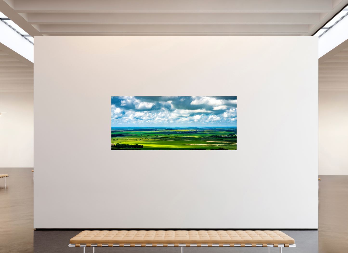 91 x 39″, Metal Prints Prairie Eden