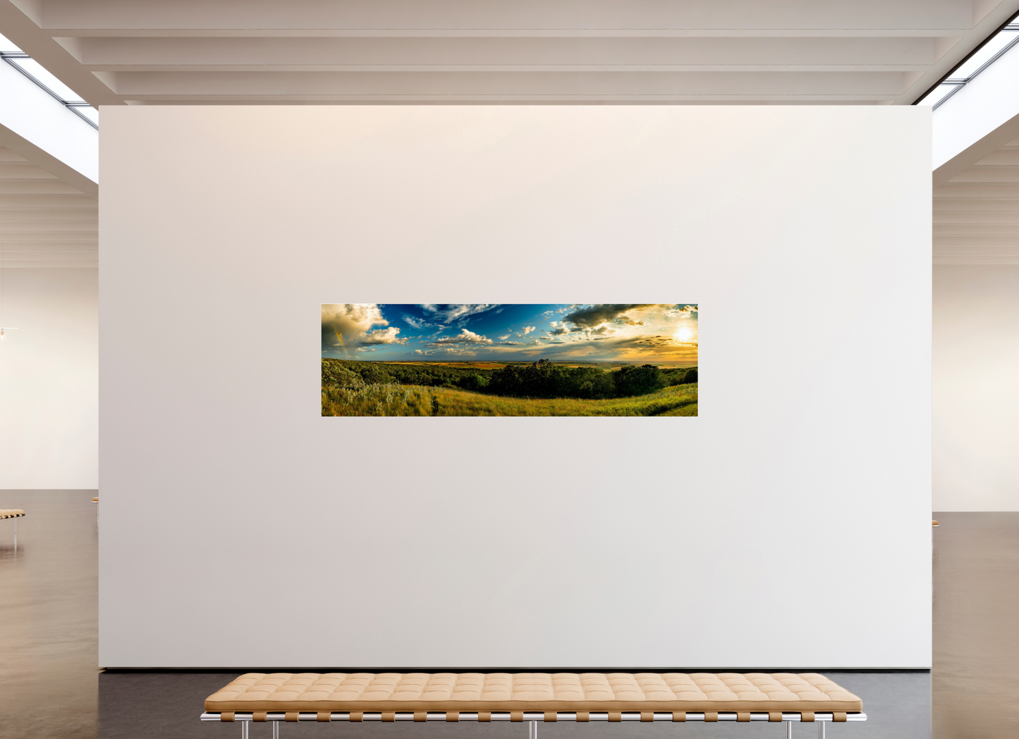 93.3 x 28″, Photo Print Under Acrylic Glass I Can See Forever Metal Acrylic Glass