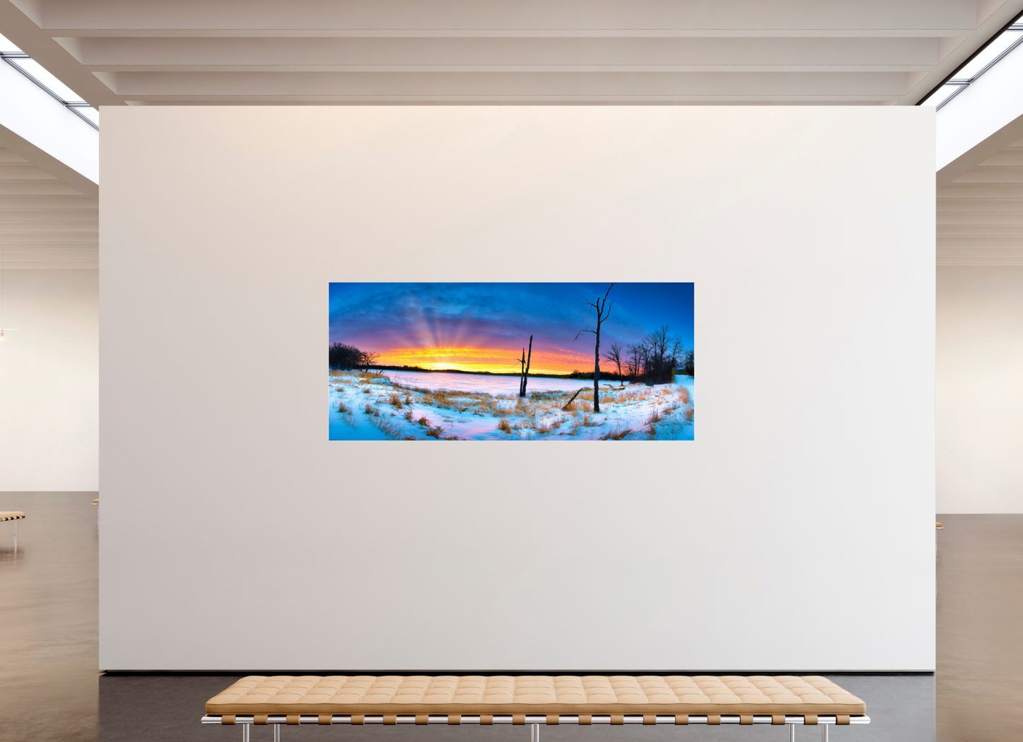 90.2 x 39″, Photo Print Under Acrylic Glass Winter Walk Acrylic Glass