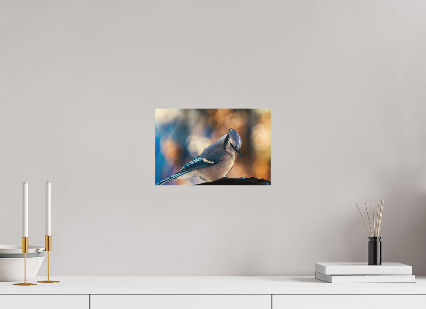 12 x 8″, Wood Print Blue Jay