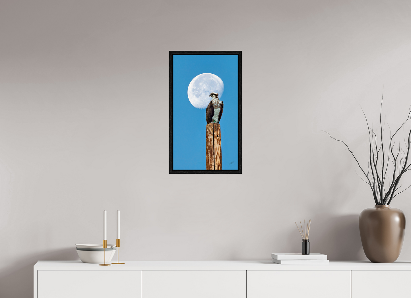 13.5 x 24″, Floater Frame Moon Osprey