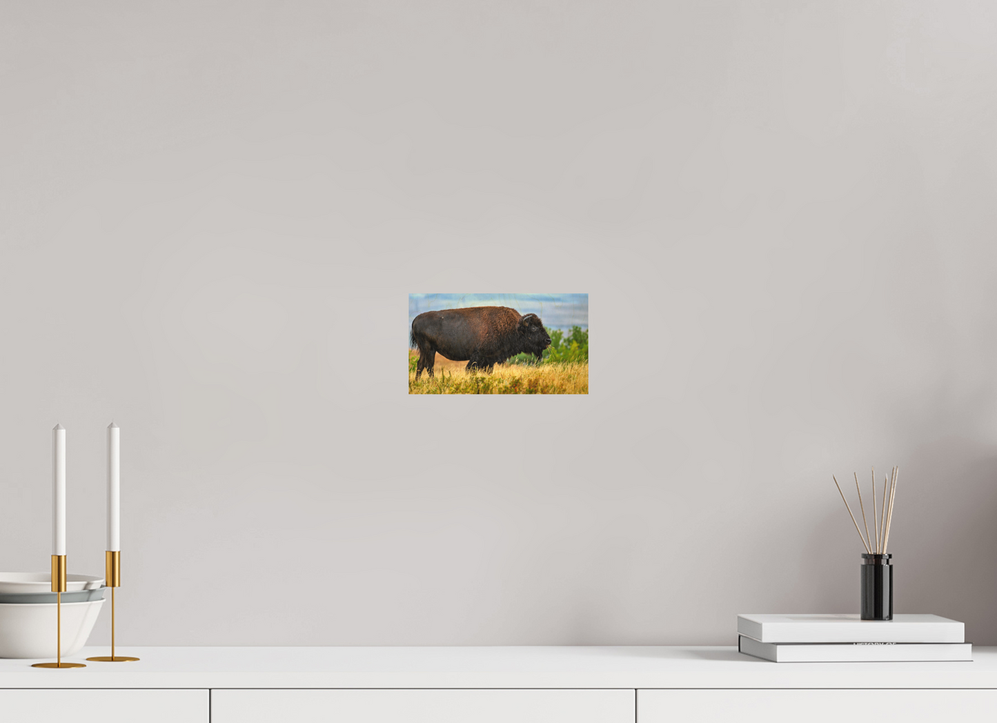 8 x 4.5″, Wood Print Medora Bison in Rain Metal Acrylic Glass