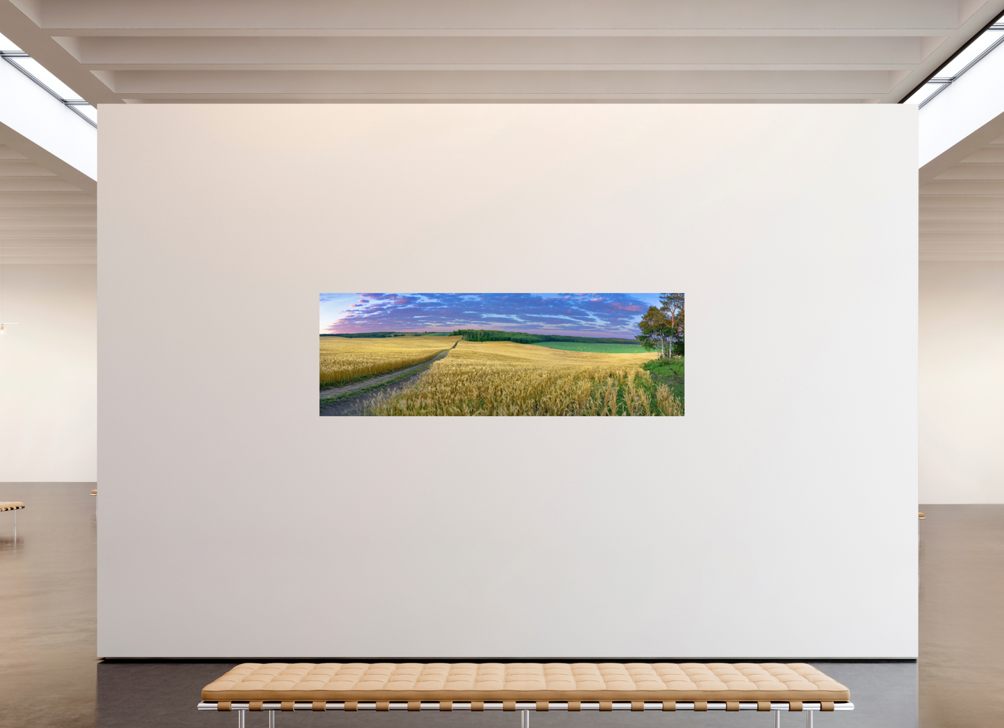 91.8 x 31″, Metal Prints Paradise Valley