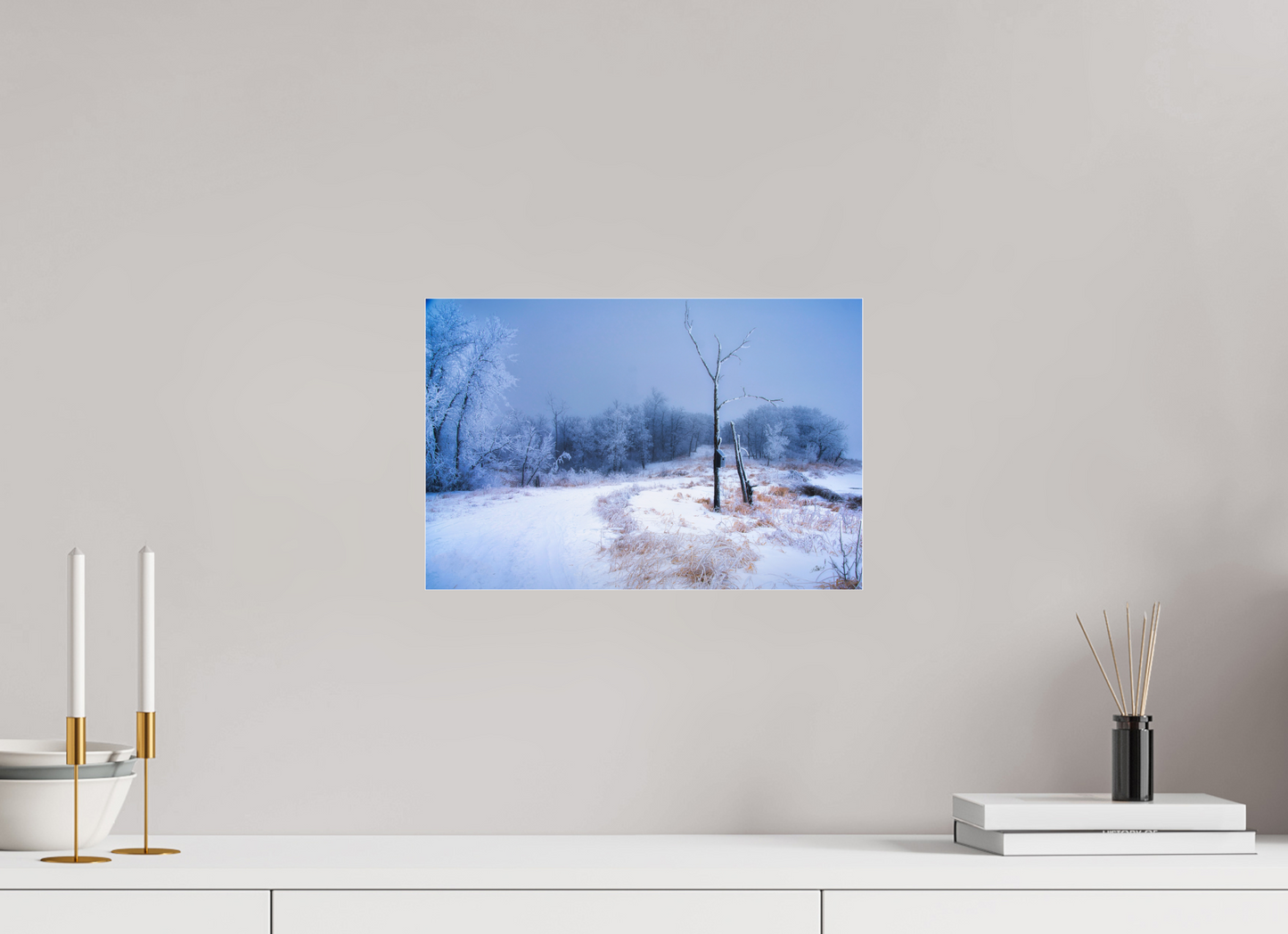 15 x 10″, Photo Print Under Acrylic Glass Birds Nest in Winter - Metal Acrylic Glass
