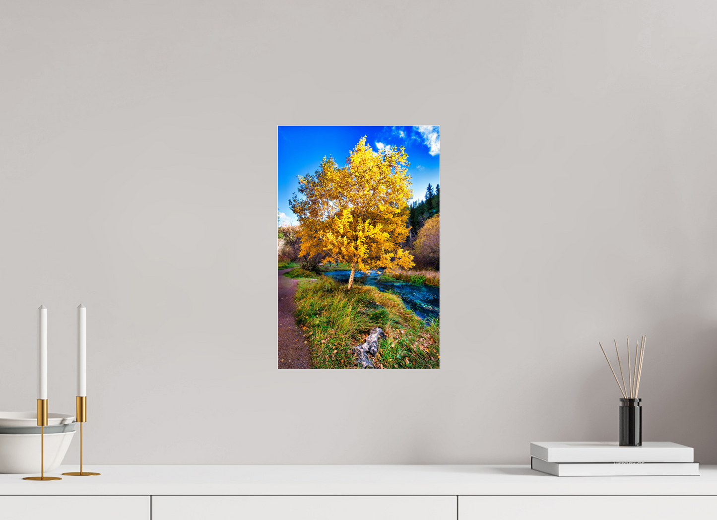 10 x 15″, Photoprint under Acrylic Glass Spearfish Canyon Yellow Tree