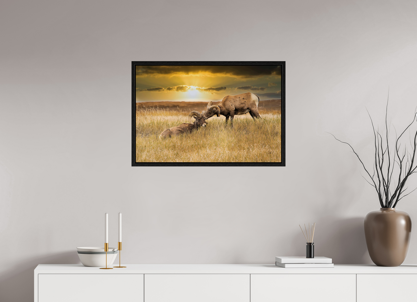 30 x 20″, Floater Frame Badlands Sheep Kiss