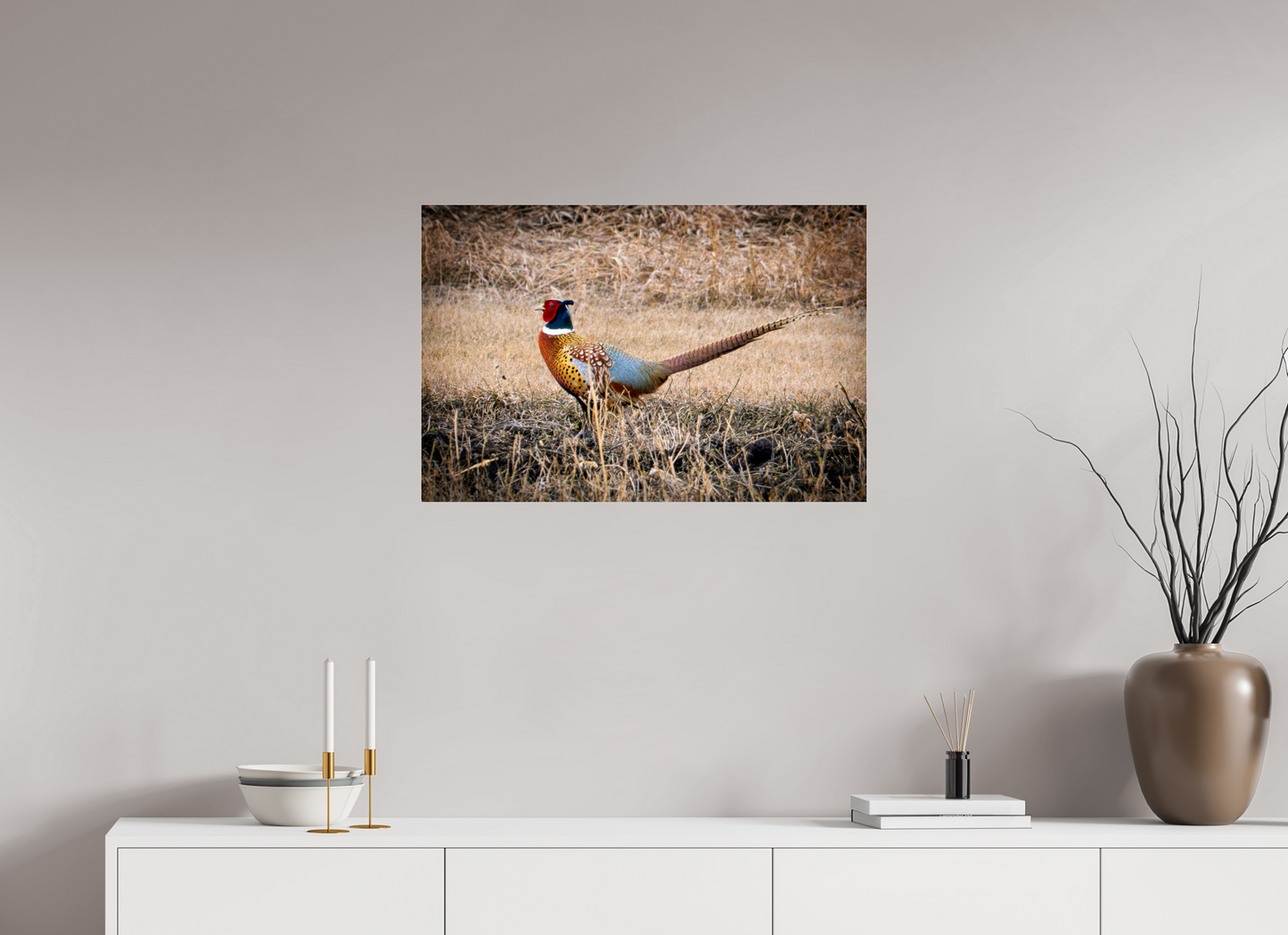 30 x 20″, Photo Print Under Acrylic Glass The Pheasant Aluminum Acrylic Glass