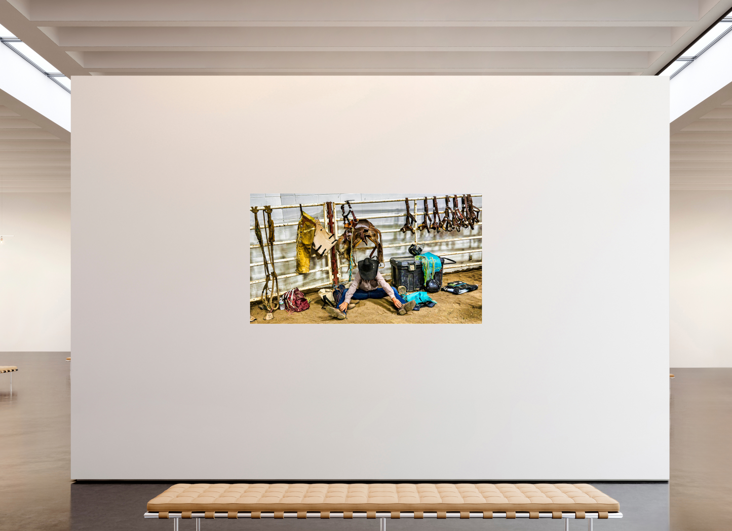 80 x 45″, Photo Print Under Acrylic Glass Bull Rider Metal Acrylic Glass
