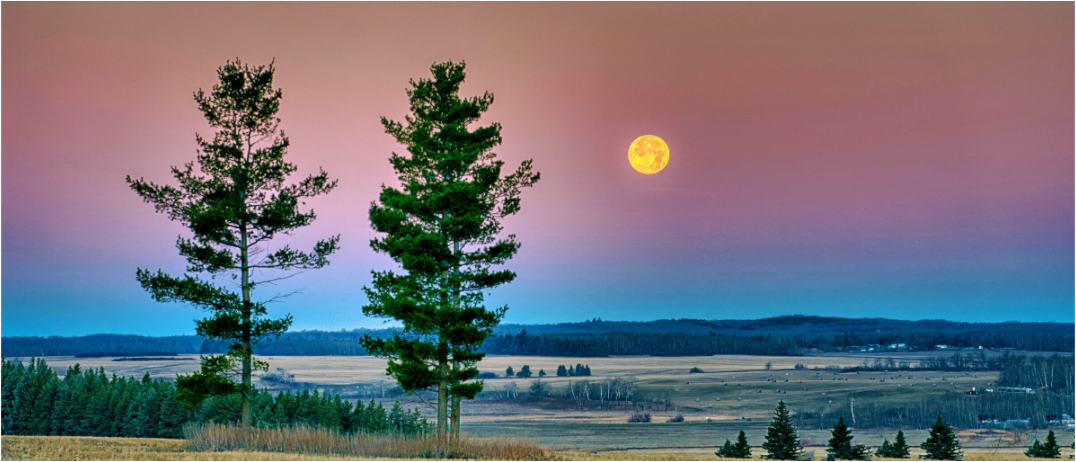Main image Morning Prairie Moon Metal Acrylic Glass