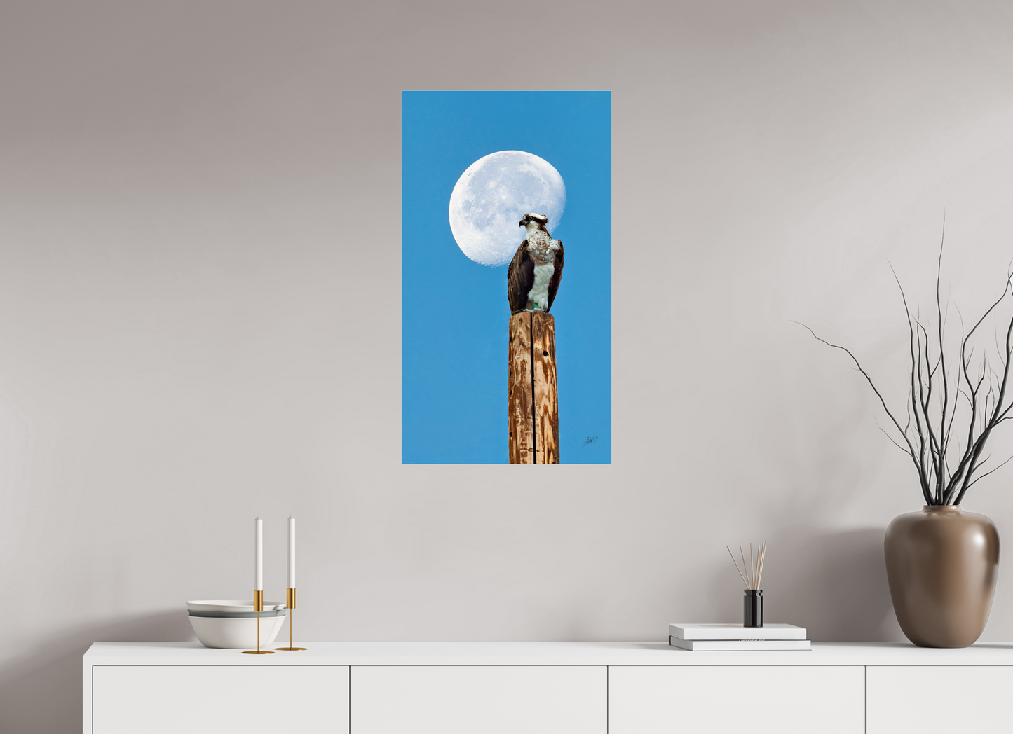 18 x 32″, Photo Print Under Acrylic Glass Moon Osprey Metal Acrylic Glass