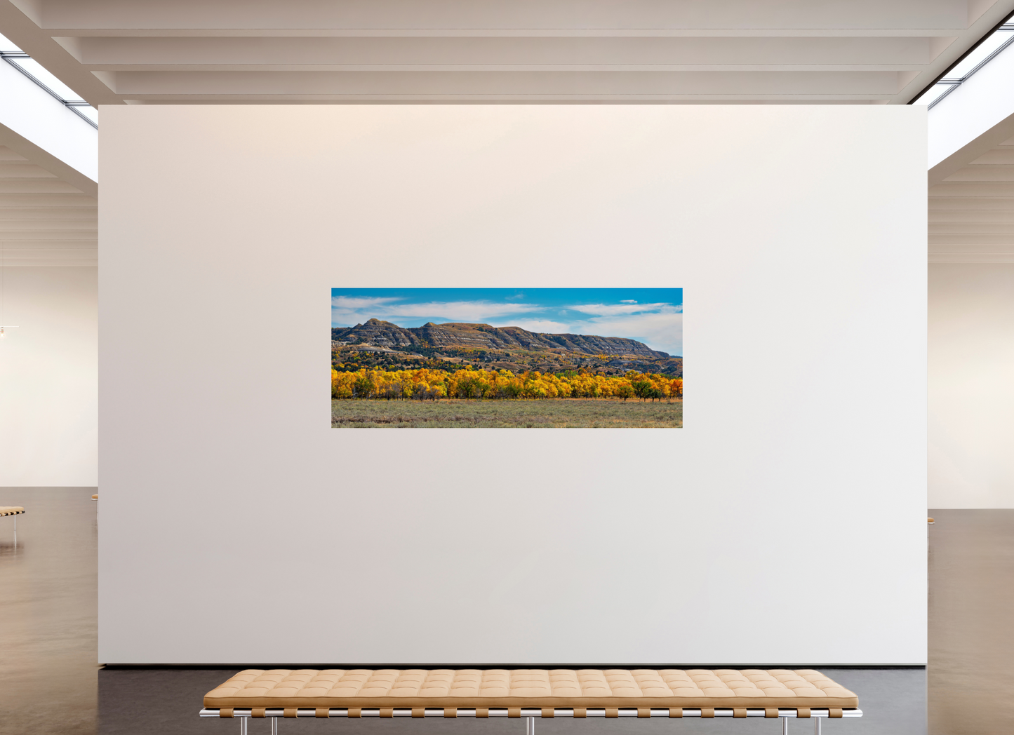87.5 x 35″, Photo Print Under Acrylic Glass Badlands in Fall - Metal Acrylic Glass