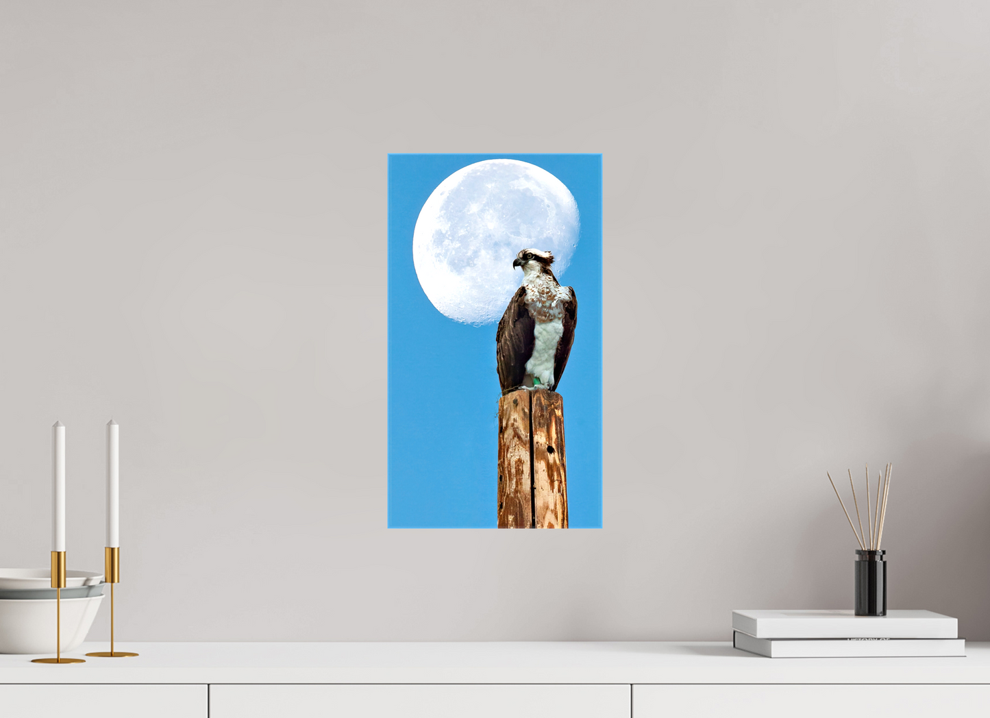 9 x 16″, Stretched Canvas Moon Osprey