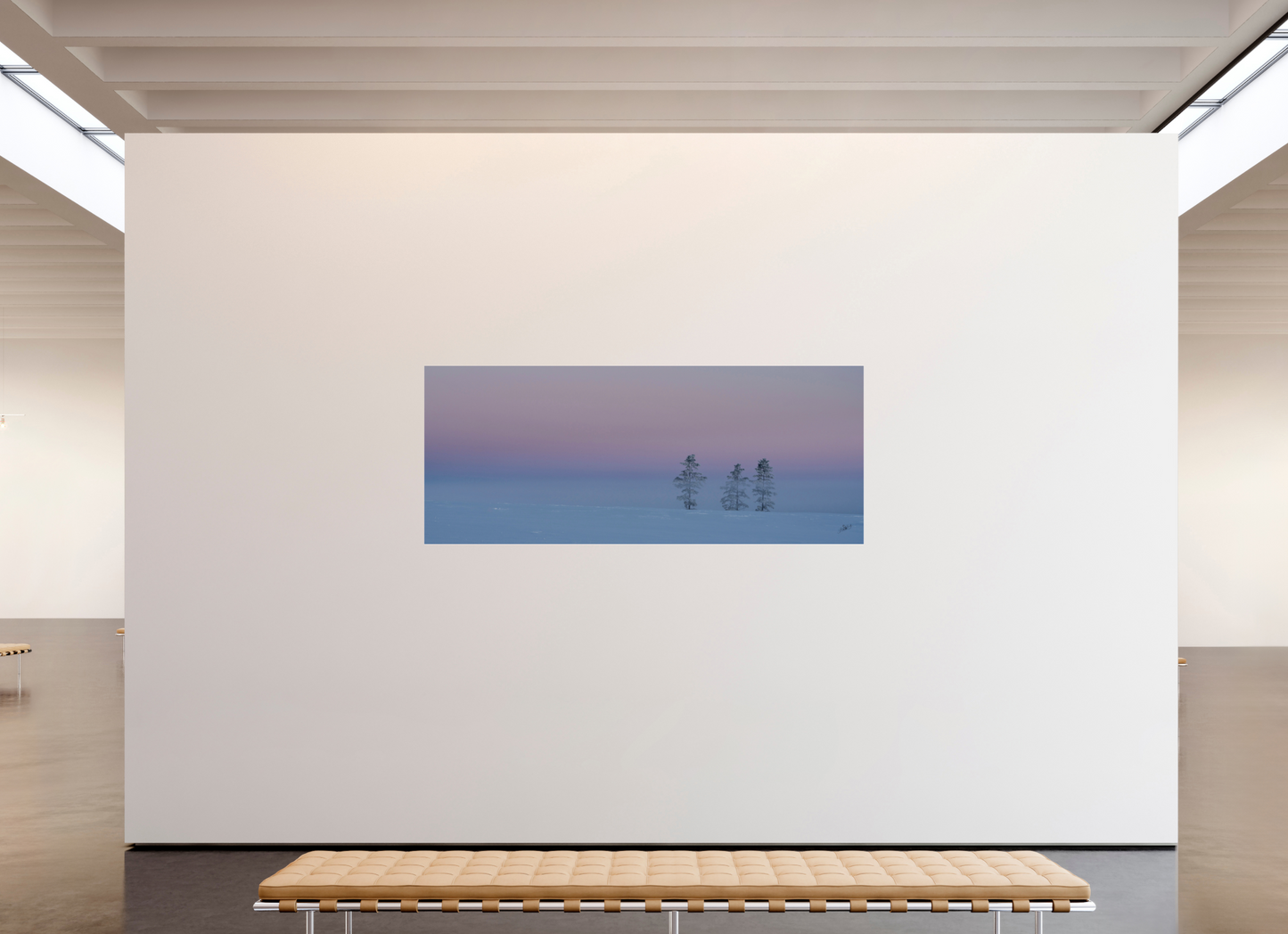 86.2 x 35″, Photo Print Under Acrylic Glass Three Pines of Winter on Aluminum Acrylic Glass