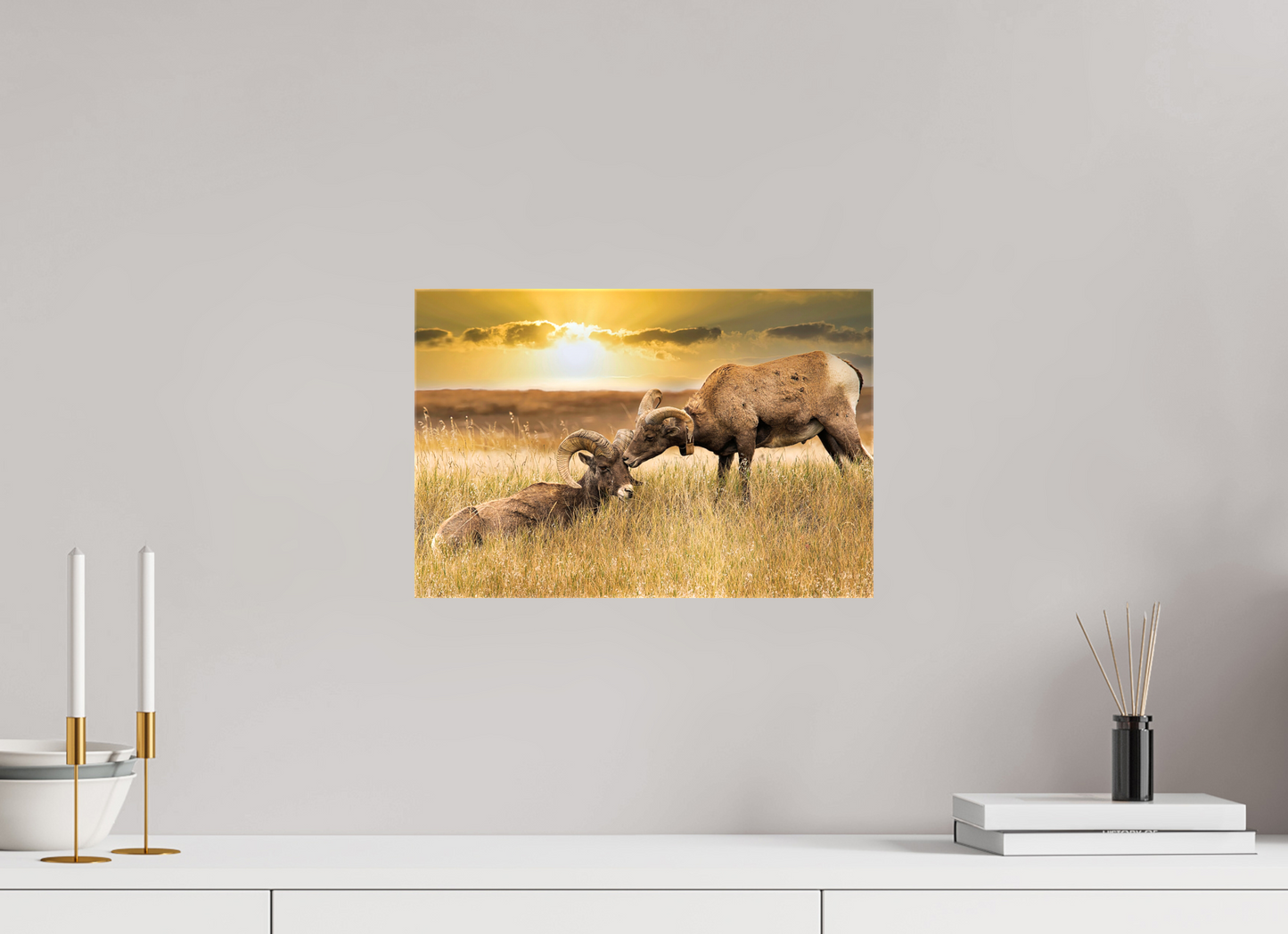 15 x 10″, Stretched Canvas Badlands Sheep Kiss
