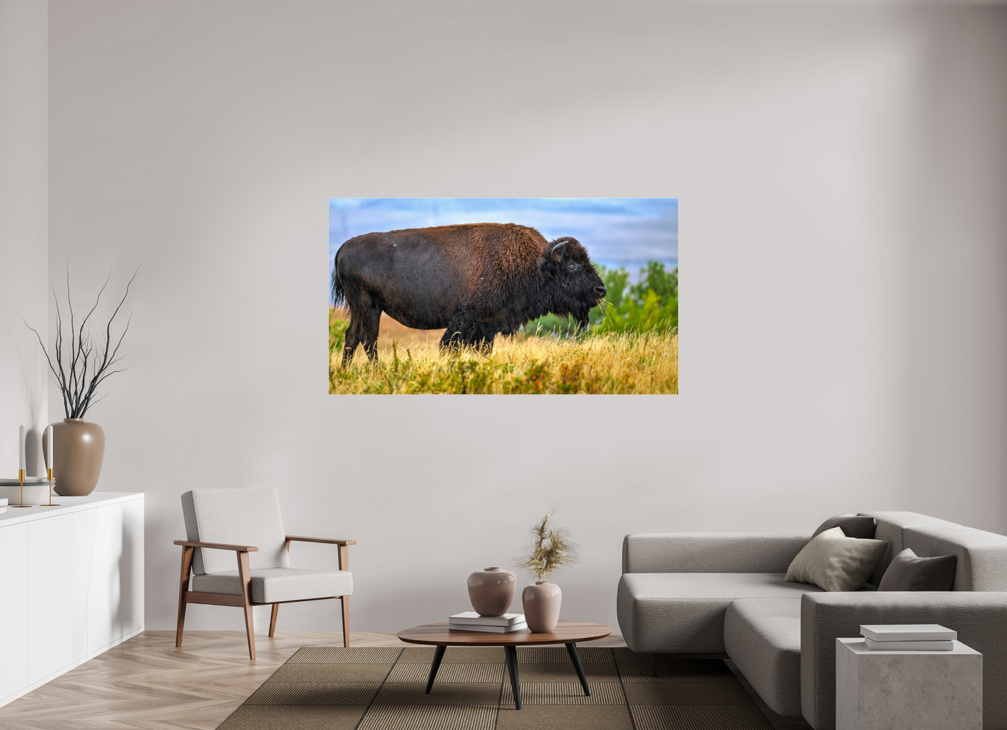 70 x 39.4″, Photo Print Under Acrylic Glass Medora Bison in Rain Metal Acrylic Glass