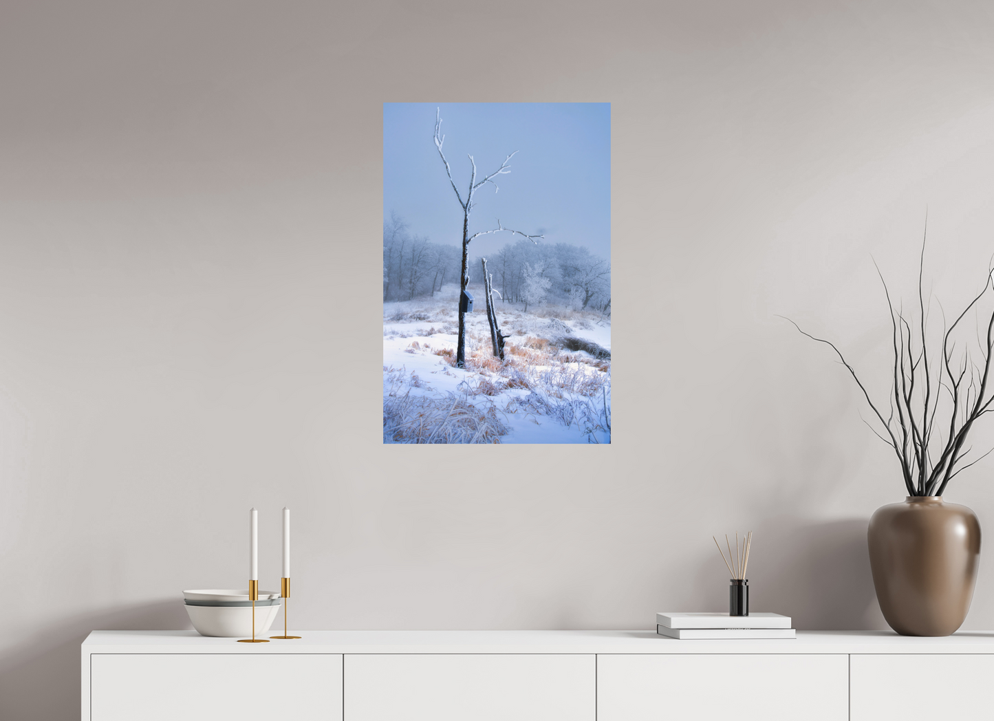 20 x 30″, Photo Print On Fuji Crystal DP II Birds Nest in Winter 2
