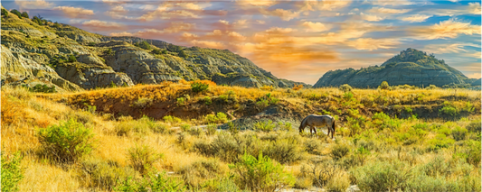 Main image Badlands Horse On acrylic Glass
