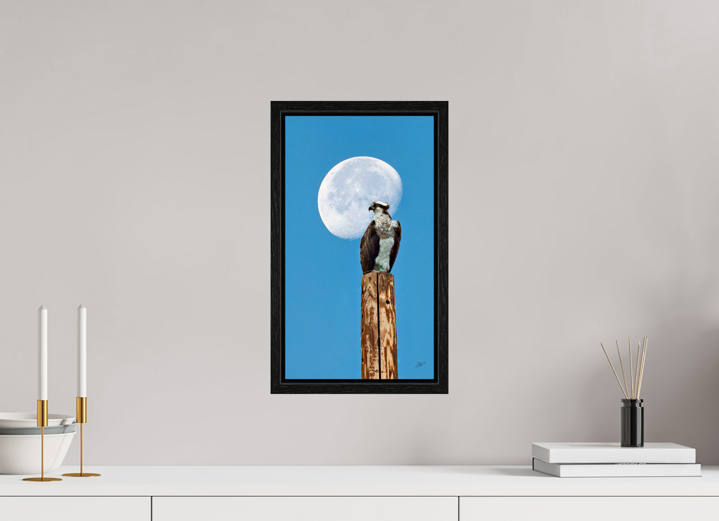 9 x 16″, Floater Frame Moon Osprey