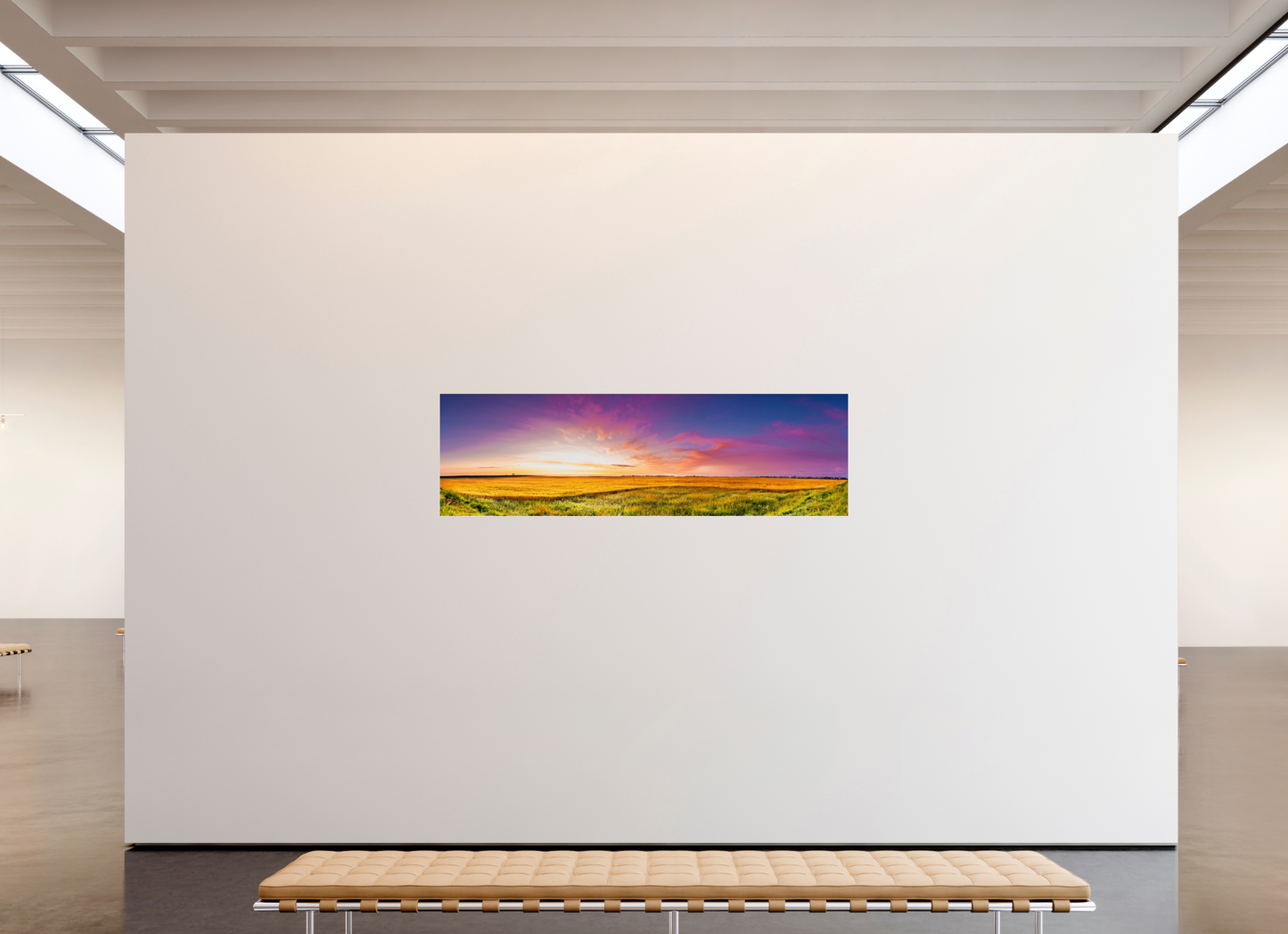 80 x 24″, Photo Print Under Acrylic Glass Mawby's Field Metal Acrylic Glass