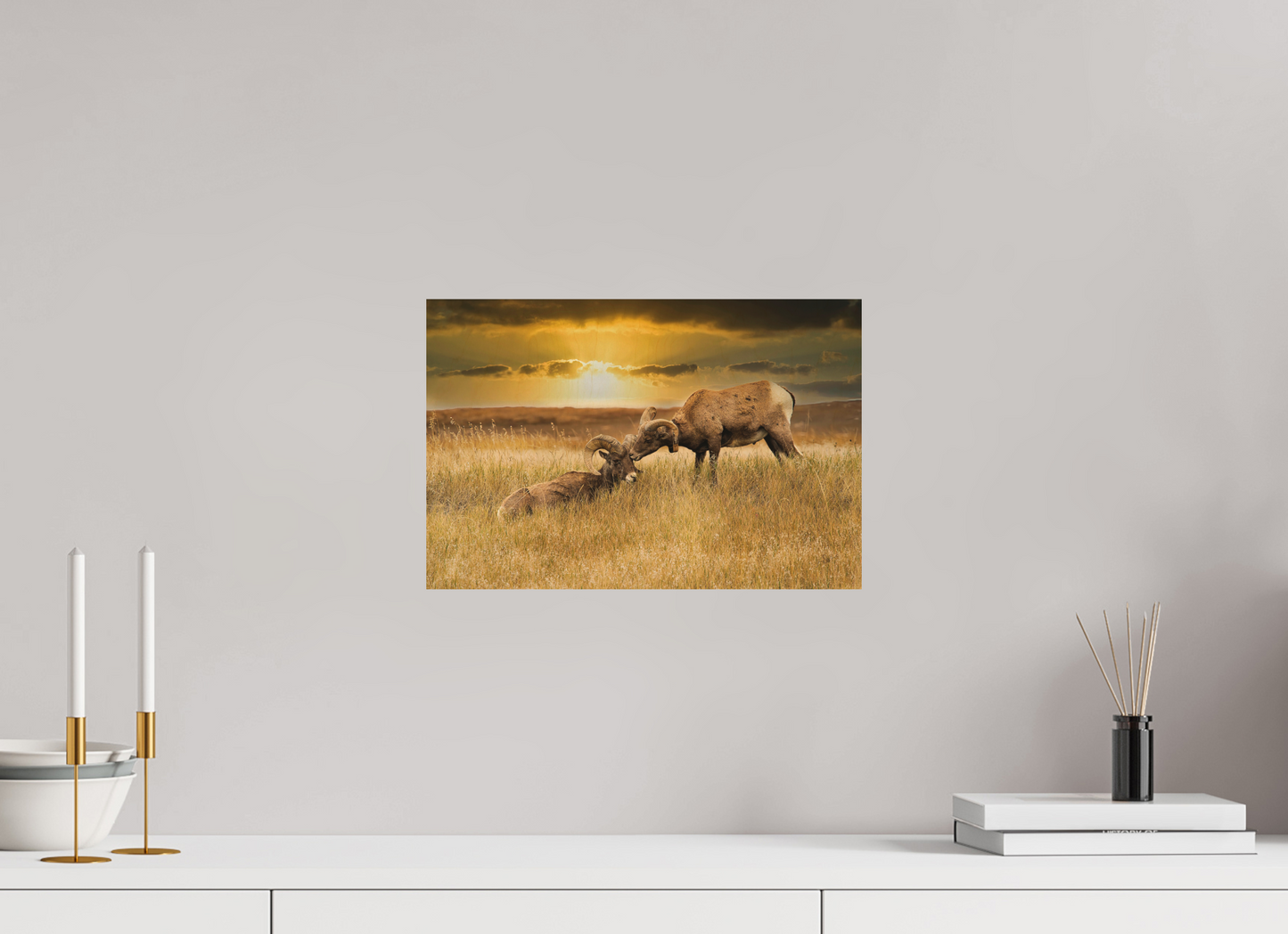 15 x 10″, Wood Print Badlands Sheep Kiss