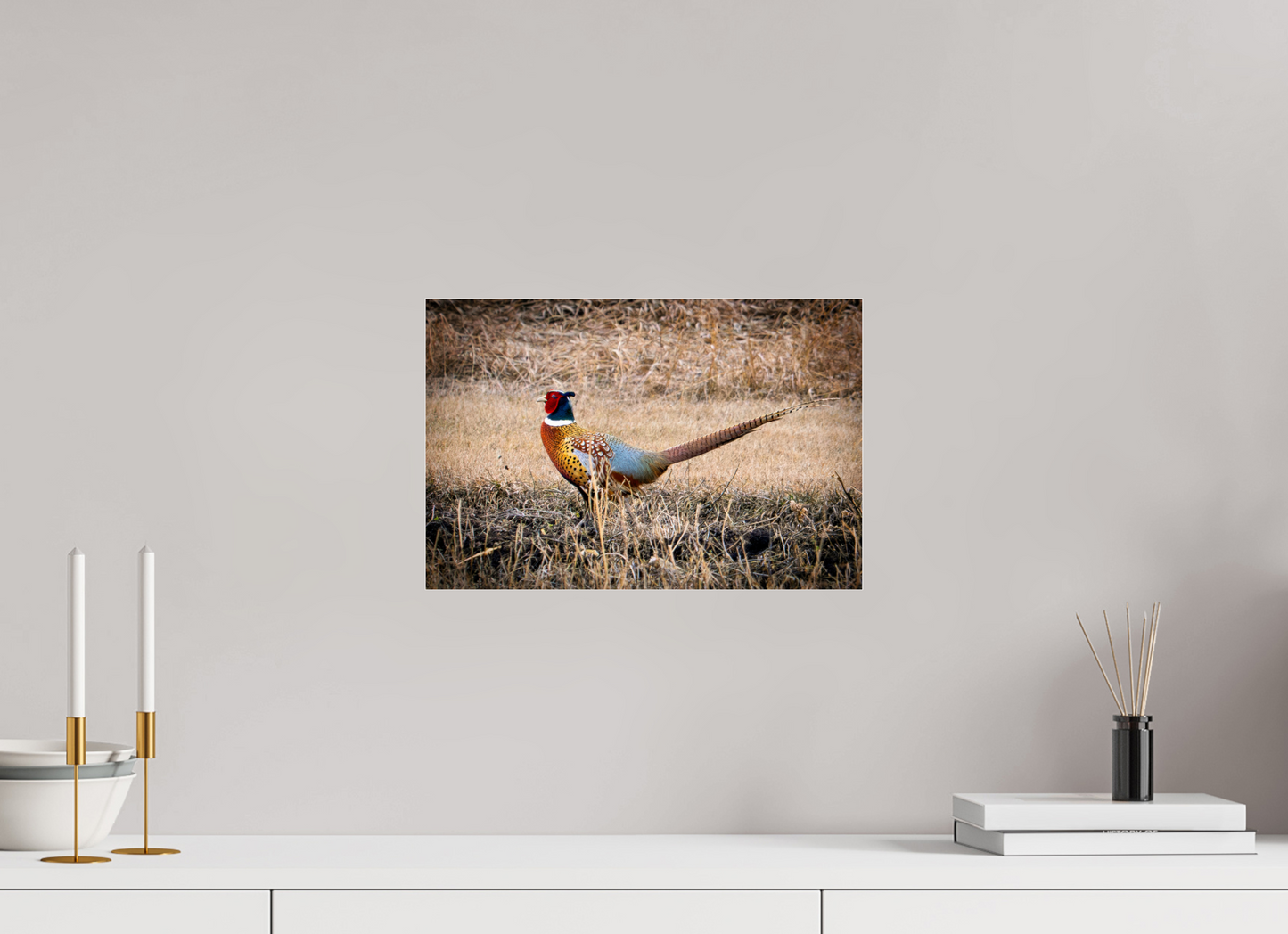 15 x 10″, Photo Print Under Acrylic Glass The Pheasant Aluminum Acrylic Glass