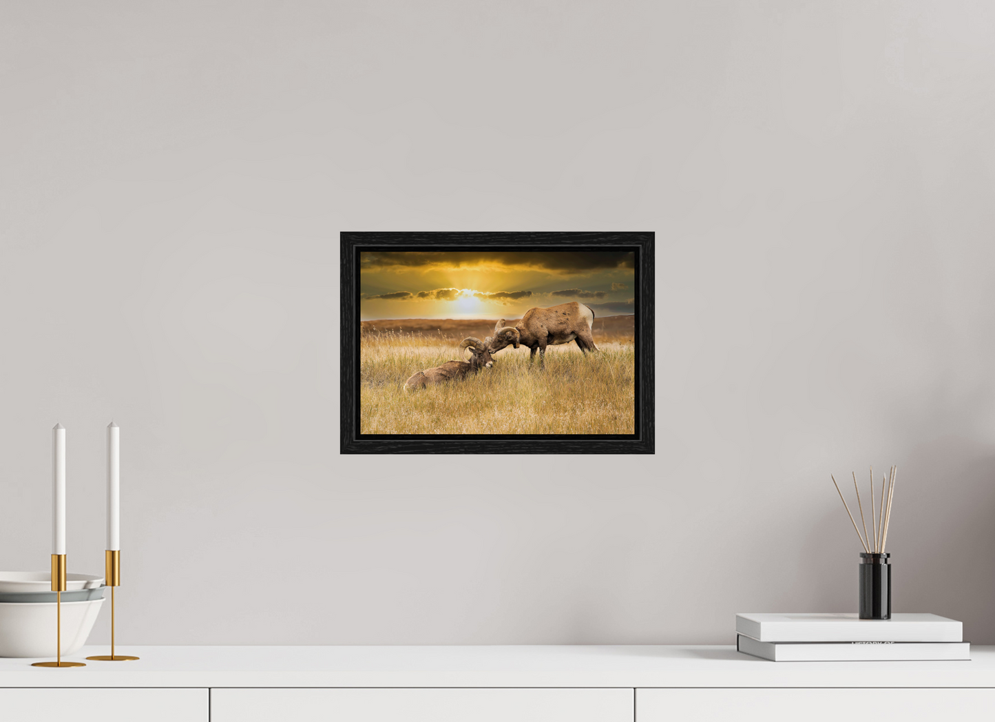 12 x 8″, Floater Frame Badlands Sheep Kiss