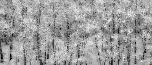 Main image Shades of Winter Metal Acrylic Glass