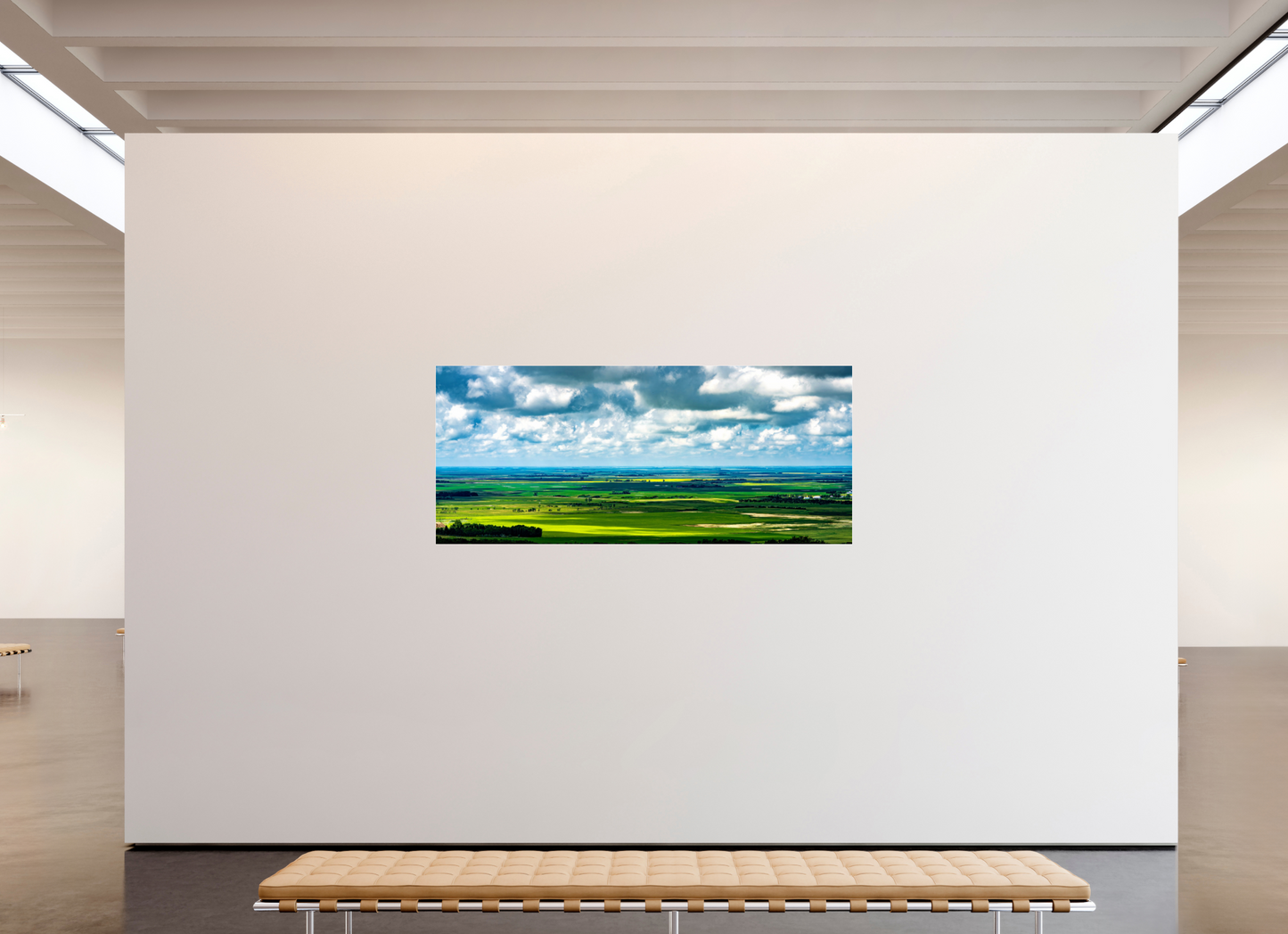 81.7 x 35″, Photo Print Under Acrylic Glass Prairie Eden Metal Acrylic Glass