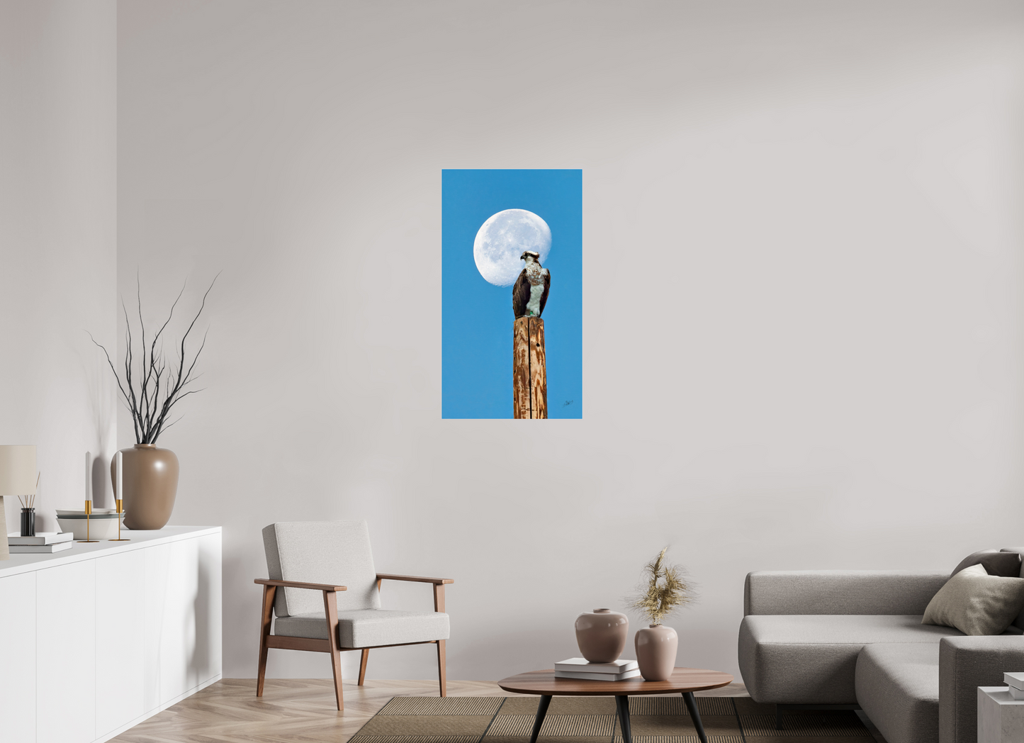 22.5 x 40″, Photo Print Under Acrylic Glass Moon Osprey Metal Acrylic Glass