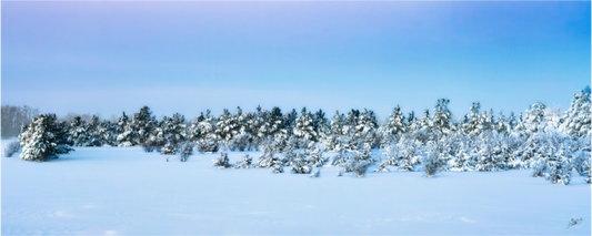 Main image winters wonderland pastel on Acrylic Glass