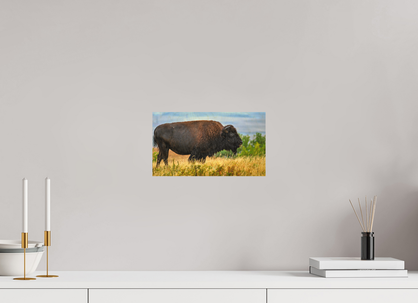 12 x 6.8″, Wood Print Medora Bison in Rain Metal Acrylic Glass