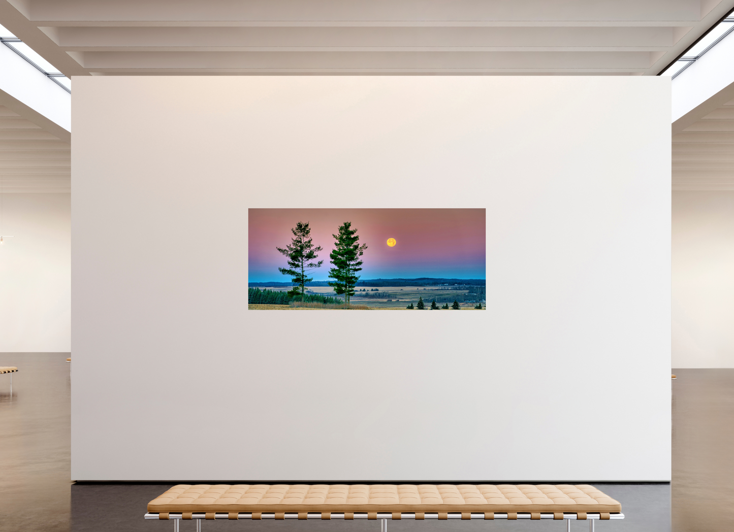 81.7 x 35″, Metal Prints Morning Prairie Moon