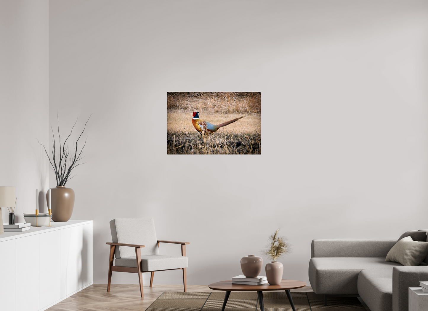 36 x 24″, Photo Print On Fuji Crystal DP II The Pheasant
