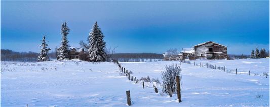 Main image Forgotten Farmstead - Metal Acrylic Glass