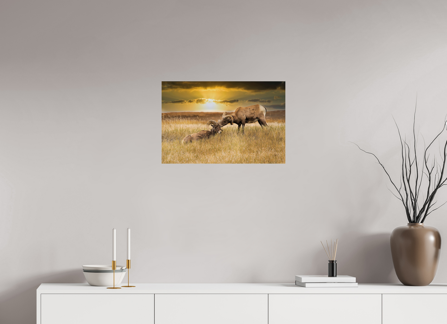 24 x 16″, Metal Prints Badlands Sheep Kiss