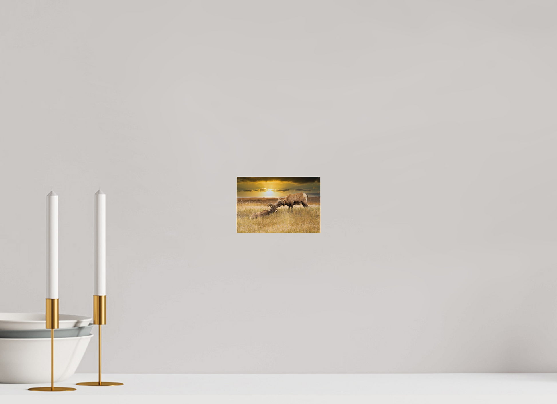 6 x 4″, Photo Print Under Acrylic Glass Badlands Sheep Kiss - Metal Acrylic Glass