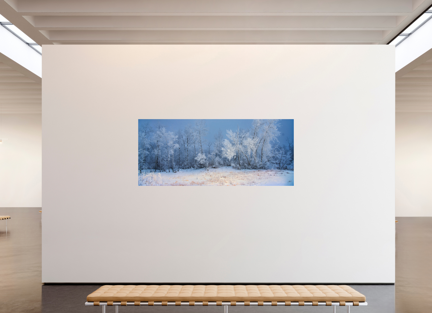 91 x 39″, Photo Print Under Acrylic Glass Frost of Winter - Metal Acrylic Glass