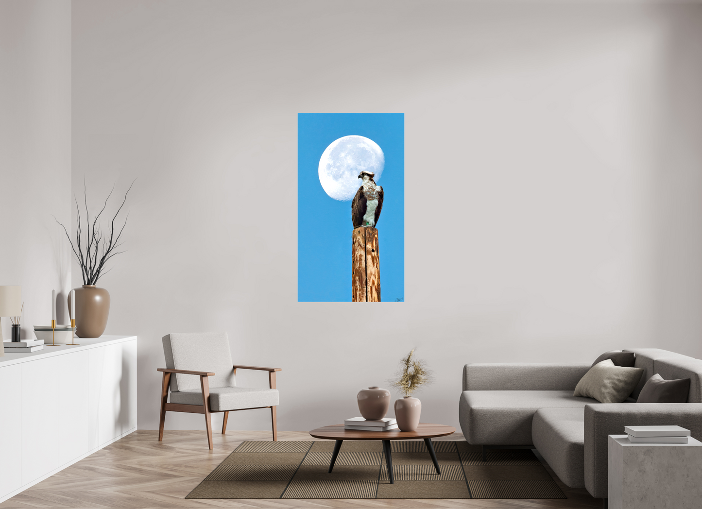 30.9 x 55″, Stretched Canvas Moon Osprey